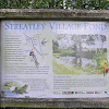 The Village Pond, Streatley, Bedfordshire